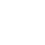 The white linkedin logomark